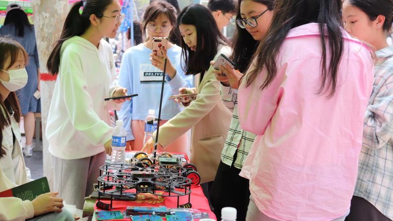 数据分析师必备技能：从数据解读到策略制定
