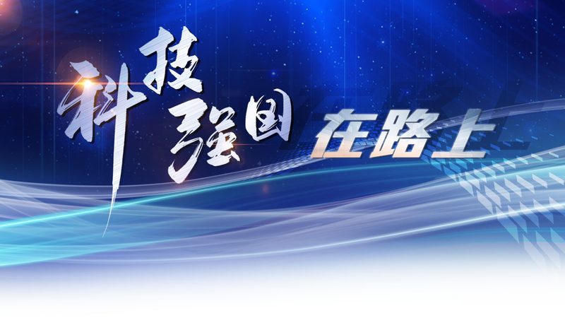 容器编排网络配置开源项目推荐：选择与优化之道