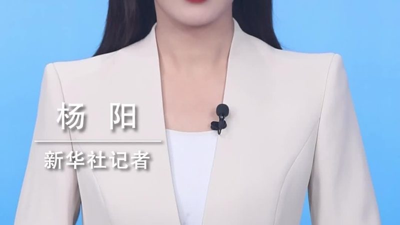 教育机构数字化转型的工具选择之道**